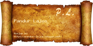 Pandur Lajos névjegykártya